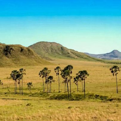 ICMBio DF abre cadastro de reserva para brigadistas em processo seletivo