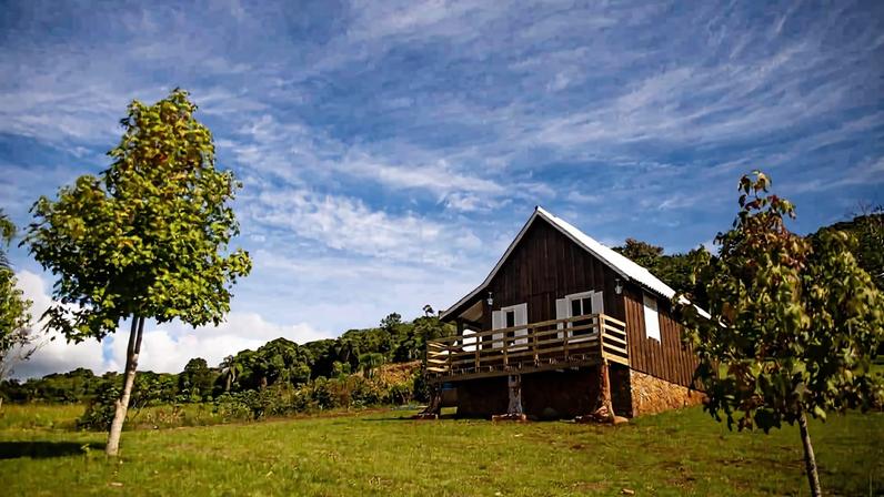 Brigadistas combatendo fogo de baixa intensidade no Cerrado, com fumaça ao fundo