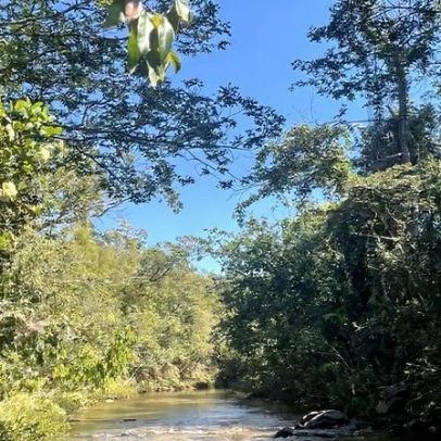 ICMBio abre processo seletivo para cadastro reserva em Chapadão do Céu, GO