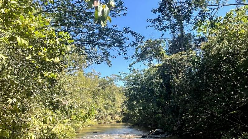 Vegetação de Cerrado e curso d’água em ambiente de campo limpo, paisagem típica da região do Parque Nacional das Emas. Crédito: All Trails.