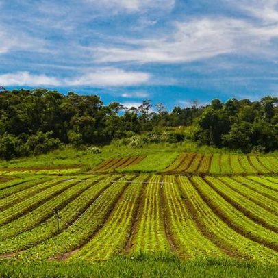 IFBA Santo Amaro oferece 6 vagas para professor substituto