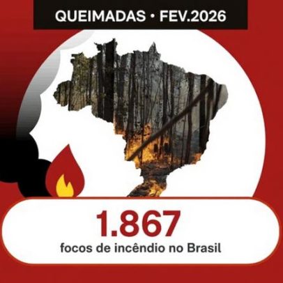 Brasil registra 1.867 focos de incêndio em fevereiro, alta anual de 2,6%