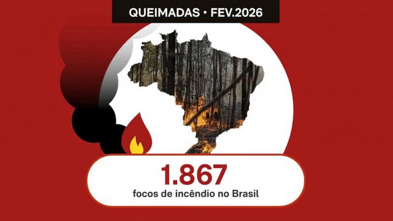 Todos os biomas brasileiros registraram focos de incêndio em fevereiro