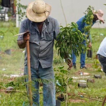 BB compensará emissões da COP15 no Brasil