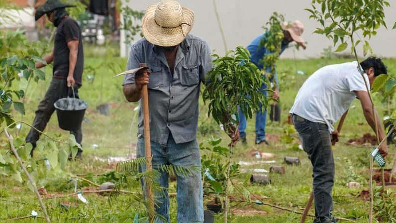 Inauguração do Bosque da COP15, onde foram plantadas 250 mudas. Foto: Rafa Neddermeyer/ Agência Brasil