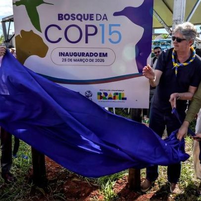 COP15 em Campo Grande gera legado de conscientização ambiental