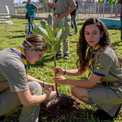 Inauguração do Bosque da COP15 em Campo Grande planta 250 mudas