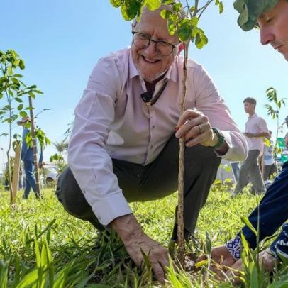 Presidente da COP15 inaugura Bosque em Campo Grande com 250 mudas plantadas