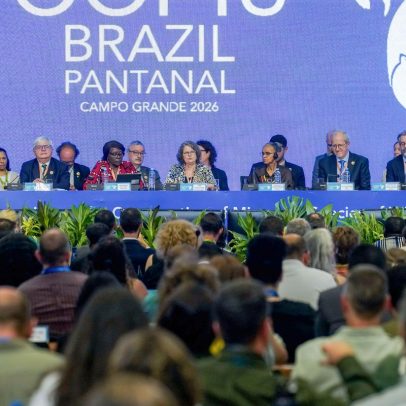 Abertura da COP15 Brasil Pantanal celebra espécies migratórias