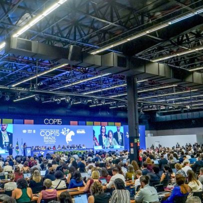 Diversidade marca abertura da COP15 em Campo Grande