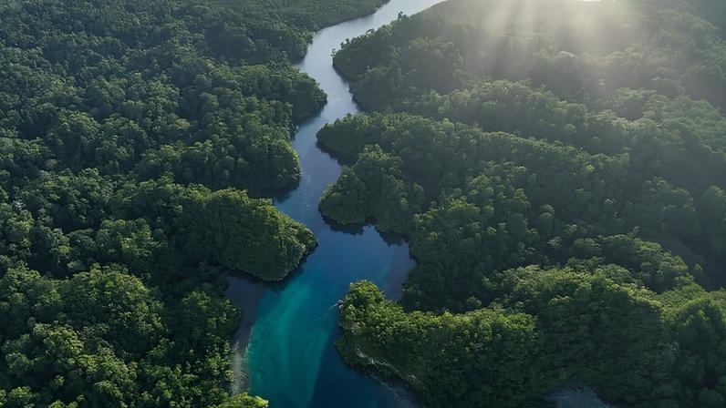 Conservação significativa exige verdade, não apenas fatos, diz ecologista.