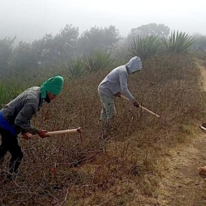 Comunidades locais são o ativo mais subestimado da conservação