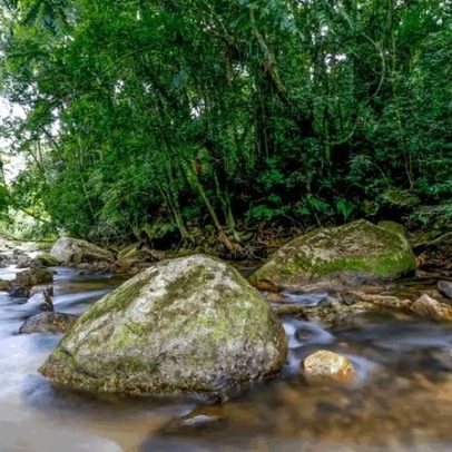 Projeto fortalece gestão ambiental até 2036