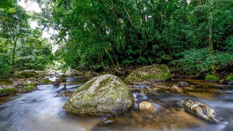 Riacho do Parque Estadual do Rio Turvo, em São Paulo
