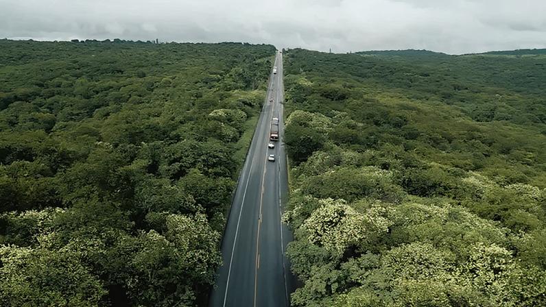 Concessão abrange trechos estratégicos para a integração logística do Estado e para o escoamento da produção regional