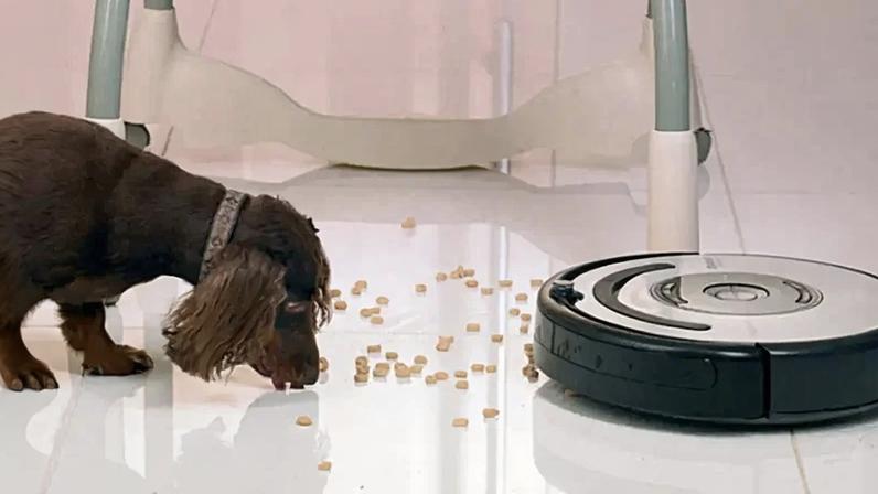 Roomba, o faxineiro (Divulgação)