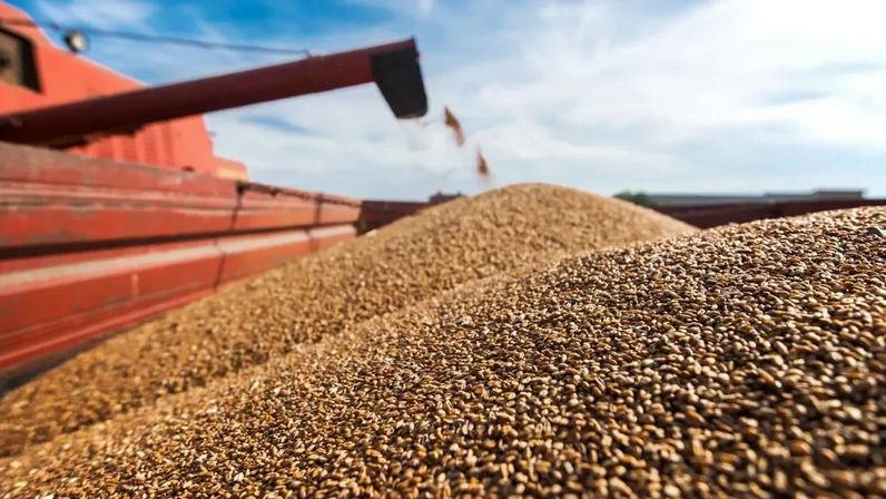 Acordo busca destravar exportações após falhas em inspeções de carregamentos de soja.