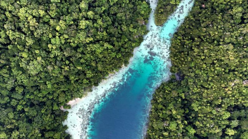 Conservação de precisão: estratégias locais onde a proteção funciona melhor