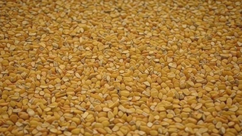 Sindirações projeta expansão moderada com aumento da demanda interna e externa por proteínas mantendo crescimento