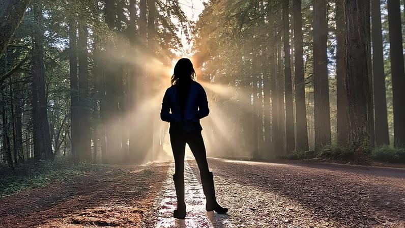 Silhouette of a woman standing in a California redwood forest. Photo by Rhett Ayers Butler