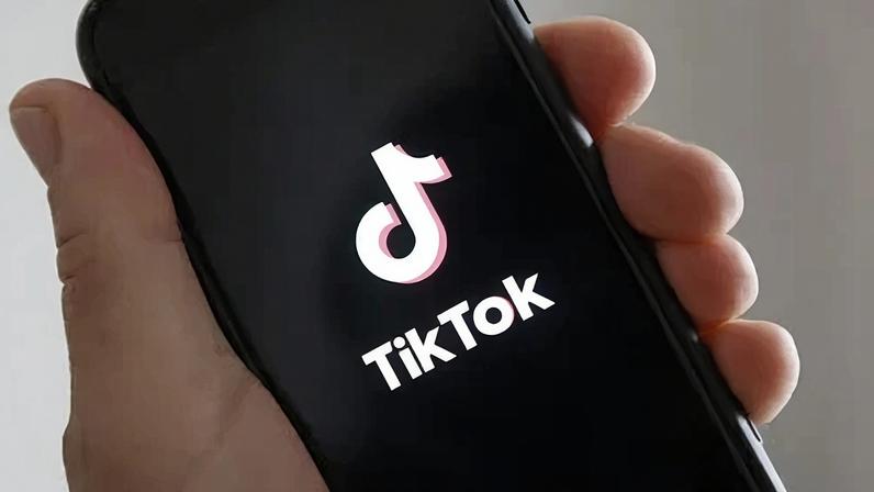 Brasileiros utilizam TikTok para estudar