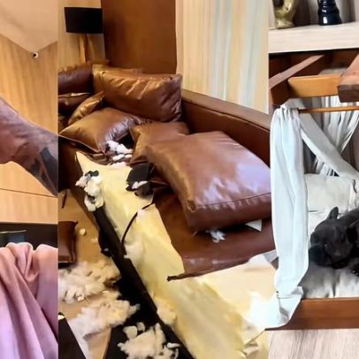 Cezar Black encontra sofá danificado pelo cachorro após plantão noturno