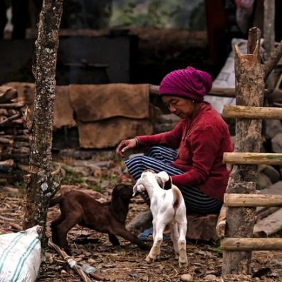 Mulheres rurais do Nepal enfrentam maior risco de conflito com a vida selvagem