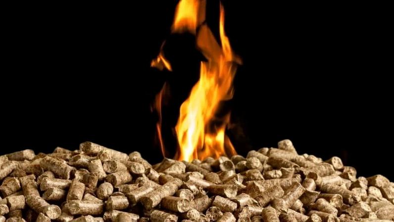 Wood pellets for biomass energy. Image courtesy of Dogwood Alliance.