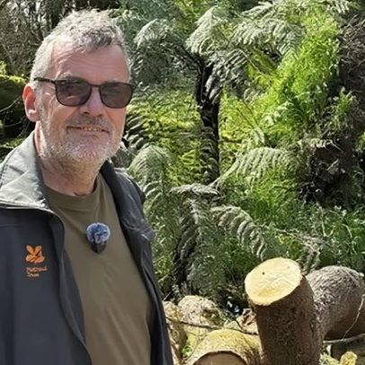Plantas raras sobrevivem à devastação causada pela tempestade