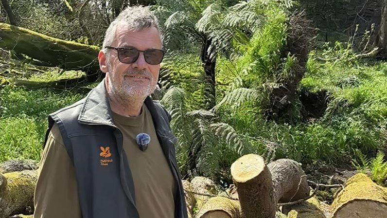 Plantas raras sobrevivem à devastação causada pela tempestade