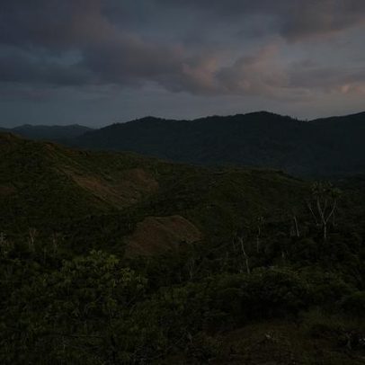 Corredor de reflorestamento em Madagascar oferece futuro para lêmures