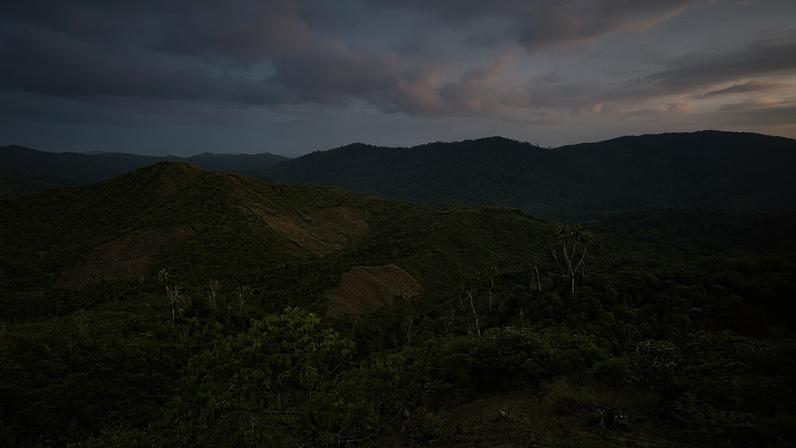 Corredor de reflorestamento em Madagascar oferece futuro para lêmures