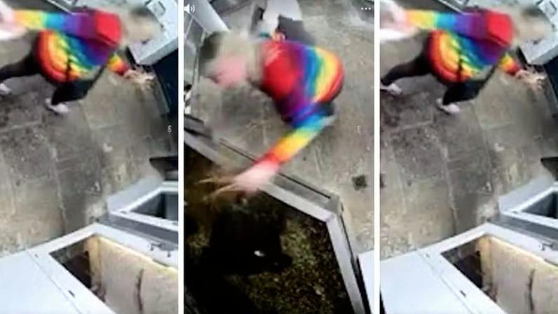 Mulher rouba lagosta em aquário de restaurante no Reino Unido — Foto: Reprodução/TikTok