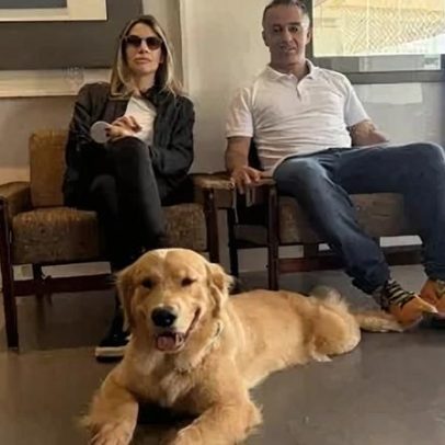 Cães treinados detectam variações de glicose e antecipam crises em diabéticos