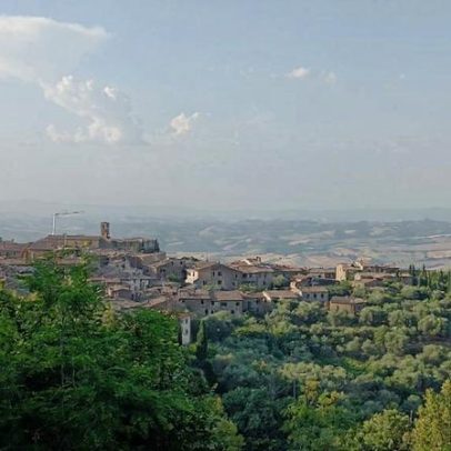 Principais lançamentos de Brunello di Montalcino