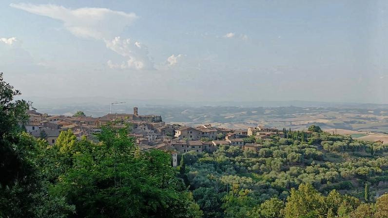 Principais lançamentos de Brunello di Montalcino