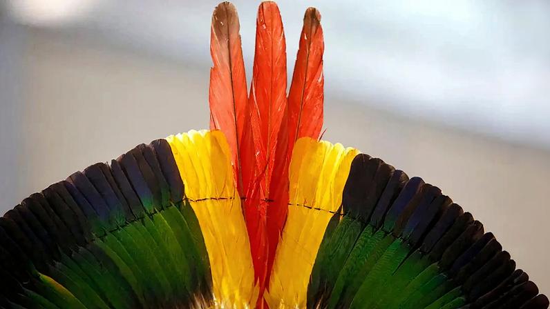 Fotografia de um cocar colorido da tribo indígena Kayapó, feito com penas de aves amazônicas.