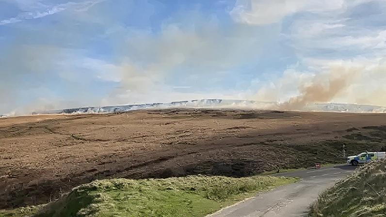 Incêndios em charnecas desmoralizam autoridades e dificultam investigações