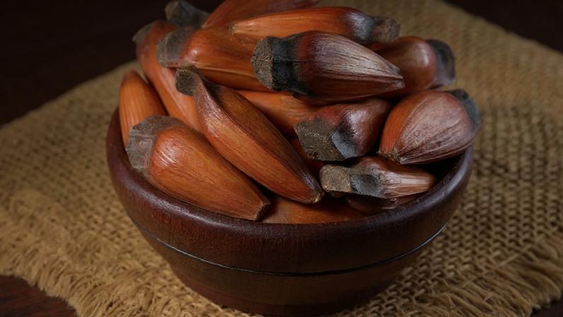 O pinhão é um alimento versátil e oferece benefícios para a saúde