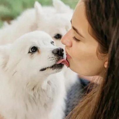 Lambejo com o pet: 3 dicas para torná-lo mais seguro