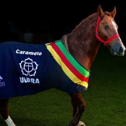 Caramelo é homenageado no Jockey Club de Porto Alegre e emociona público