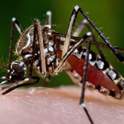 MG: 71% das cidades estão em alerta ou risco por dengue, chikungunya e zika