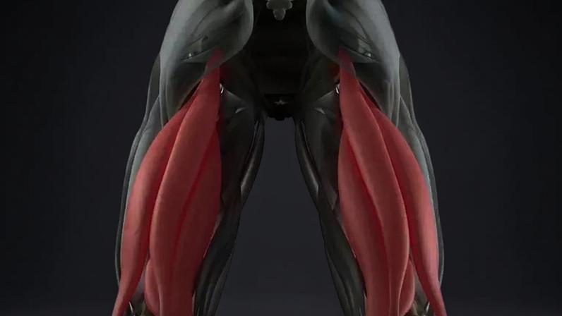 O diagnóstico por ressonância ajuda a definir a gravidade da lesão nos isquiotibiais e o melhor tipo de tratamento – depositphotos.com / AnatomyInsider