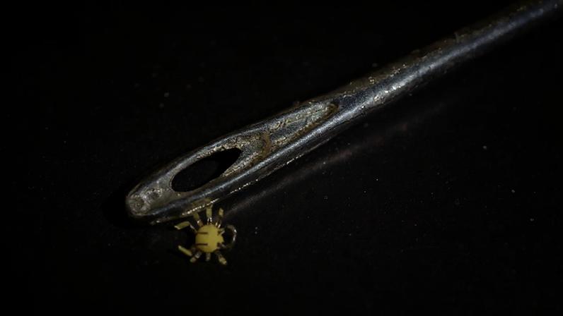 Cientistas criam o menor robô ambulante controlado remotamente