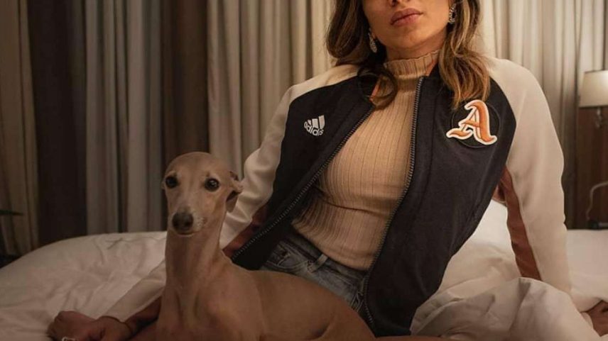 Conheça os cachorros mais fofos dos famosos
