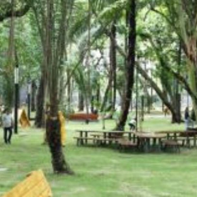 Recife promove Concerto no Parque ao ar livre com música clássica e popular
