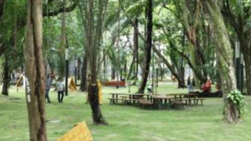 Concerto no Parque da Tamarineira, no Recife.