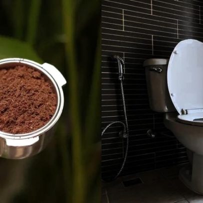 Como usar borra de café para limpar o vaso sanitário corretamente