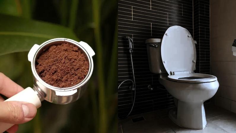 A borra de café, quando utilizada de forma adequada, ajuda a inibir odores e a eliminar resíduos sem muito esforço