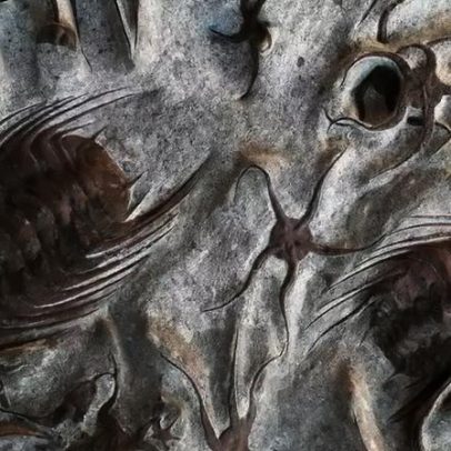 Doenças pré-históricas: trilobitas feridas, dinossauros mancos e mais